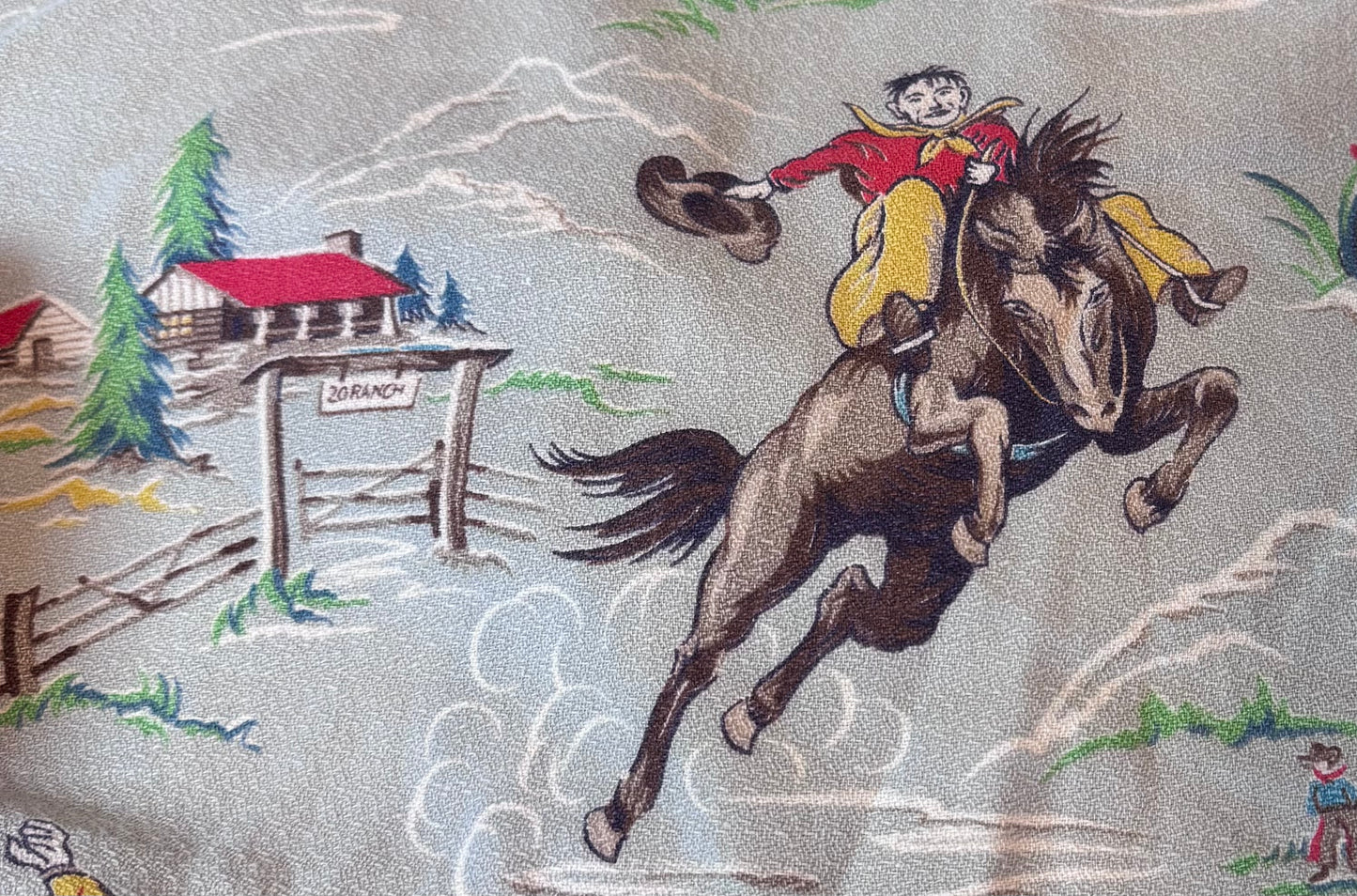 Vintage Cowboy Jacket